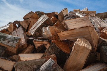 In the background is a blue sky with a stack of logs in the foreground