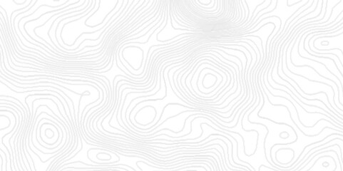 Topographic background and texture with black lines, black and white wavy topography map abstract background with geometric lines, White wave paper curved reliefs abstract topographic contour map.