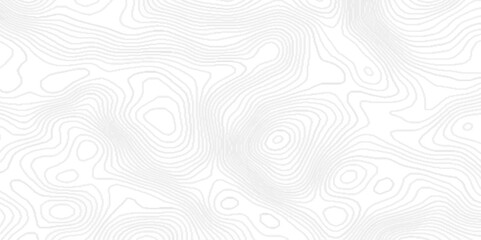 Topographic background and texture with black lines, black and white wavy topography map abstract background with geometric lines, White wave paper curved reliefs abstract topographic contour map.