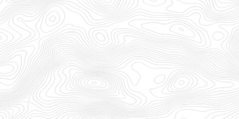 White wave paper curved reliefs abstract topographic contour map, Topographic background and texture with black lines,  black and white wavy topography map abstract background with geometric lines.