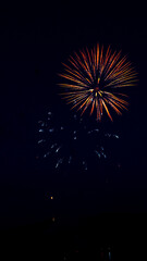 fireworks in the night sky #07 with copy space