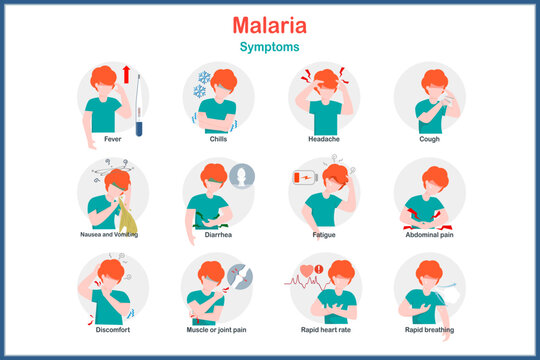 Medical illustration concept in flat style of malaria, malaria symptoms such as high fever,chills,cough, nausea,vomiting and diarrhea.Rapid heart rate and rapid breathing.