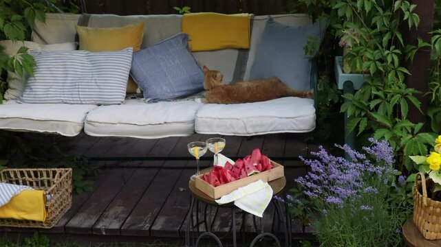 cozy place in the summer garden, garden swing with soft cushions curled with grapes and decorated with flowers in cachepots