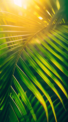 Obraz premium abstract background with leaves