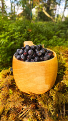 blueberries in a mug