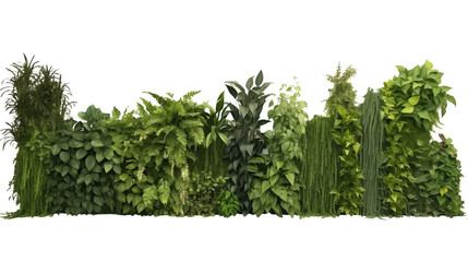 Obraz premium Set of green garden walls from tropical plants transparent background.