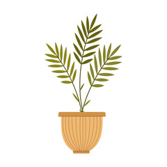House plant. Indoor flower in a pot. Vector illustration on a white background.