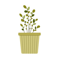 House plant. Indoor flower in a pot. Vector illustration on a white background.