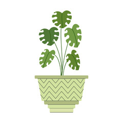 House plant. Indoor flower in a pot. Vector illustration on a white background.