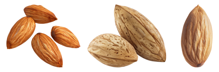 Almonds isolated on transparent background