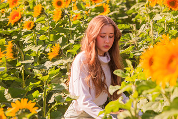 Naklejka premium Happy blonde teenage girl in sunflower field.