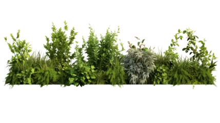 Set of lush garden bushes transparent background.