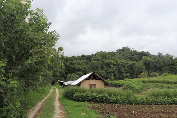 Obraz premium country house in the mountains