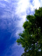 Obraz premium sky and clouds