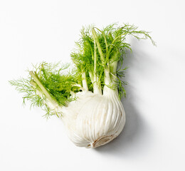 fennel bulb with green fronds