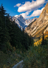 Hiking trail leading into the beautiful canadian rocky mountains