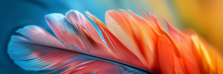 Fototapeta premium wide macro closeup background image of beautiful smooth finished natural bird feather texture with colorful and vibrant colour tones 