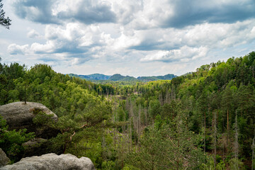 Fototapeta premium Sächsische Schweiz