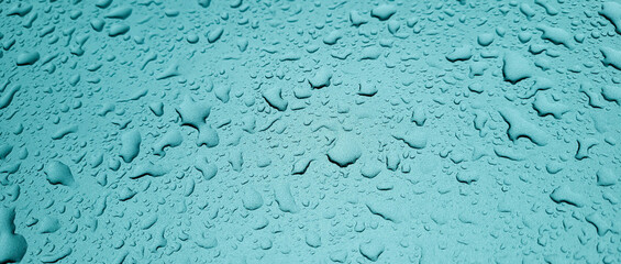 Large raindrops fall on the blue hood of the car
