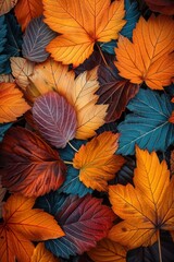 Autumn background texture with colorful fall maple leaves. Texture with autumn leaves.
