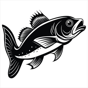 recommend clip art: Cod Fish silhouette vector illustration on white background 