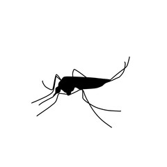 silhouette mosquito isolated bloodsucking insect
