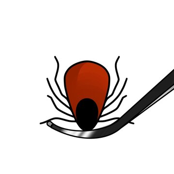red tick being removed by tweezers clip art preview
