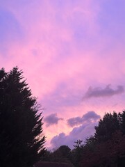 Pink Sky