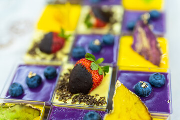 Colorful Dessert Squares With Fruit and Chocolate