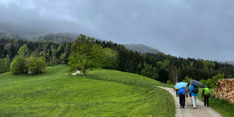 Gruppe Wanderer im Regen in der Nähe von Bernau am Chiemsee, Chiemgau, Alpen, Bayern, Deutschland