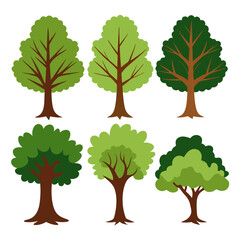 Fototapeta premium Oak tree vector. Oak tree sets