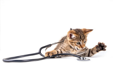 Cute little tabby kitten playing with medical doctor stethoscope on white background. Advertising, flier for veterinary clinic, cat food for kittens, healthcare products for cats background