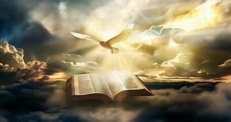 holy bible in heaven