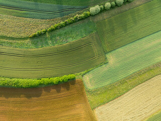 Aerial view of farmland patchwork. Fields with different colors in countryside. Background showing rural area.