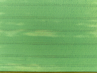 Aerial view of farmland patchwork. Fields with different colors in countryside. Background showing rural area.
