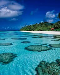 Obraz premium Tahiti Tropical Landscape