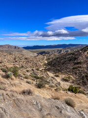 Trail through the desert
