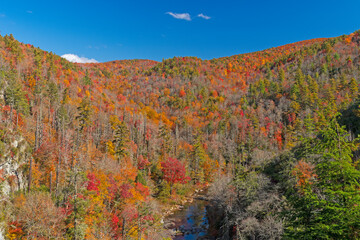 Autumn Colors in a River Valley