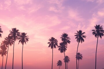 Impressive Panoramas Selective Focus on Palm Trees in Romantic Setting.jpeg