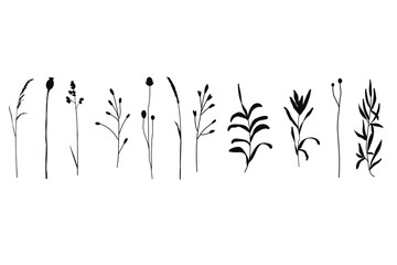 Set of dry herbs and flowers. Collection of botanical silhouettes for cards, patterns and web