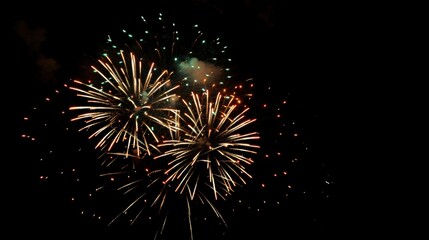 Fireworks display during nighttime celebration