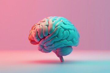 Human brain on pink and blue background.
