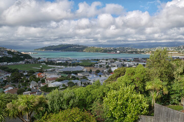 Obraz premium view of the port from the hill of a city