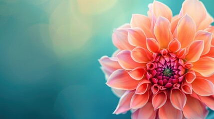 Obraz premium Close up photo of a vibrant dahlia flower with space for text