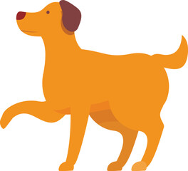 Happy golden retriever standing on three legs, with one paw raised