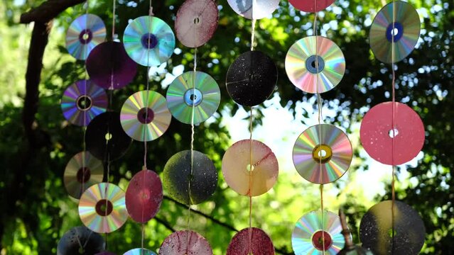colorful cds on tree as a decoration in outdoor at a festival