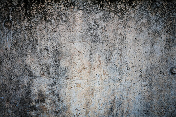 Close-up of a concrete wall covered in green moss and mold.