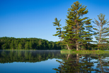 Obraz premium Beautiful calm blue lake and island with pine trees under a clear sky on a summer morning in northern Minnesota