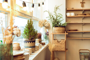 Beautiful interior with flower pots and a table in the middle of the room