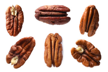Many pecan nuts isolated on white, set